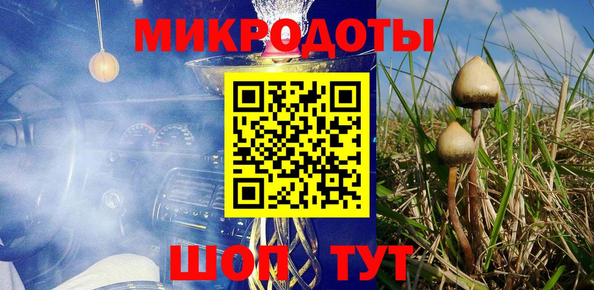 Галлюциногенные грибы Magic Shrooms  Псилоцибиновые грибы мухоморы  как найти закладки  Вход с VPN  Малгобек 